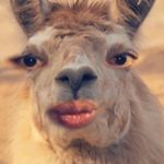 Profile Picture of Robert Blanding (@robert_blanding) on Instagram