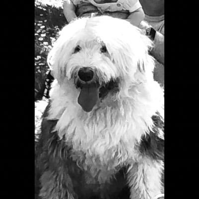 Profile Picture of Jimmy DaviDson (@jimsintoon) on Twitter