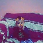 Profile Picture of Cesia Hernandez (@cesiamaria4) on Instagram