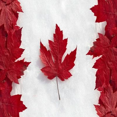 Profile Picture of Joe Lepre (@JLepre34) on Twitter