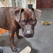 Profile Picture of Misuk Agnes Kim (@misukobgyn1) on Youtube