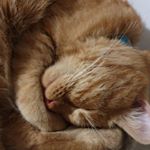 Profile Picture of Robert Ciepliński (@robert.cieplinski) on Instagram