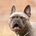 Profile Picture of Peter Janssens (@peter.janssens.754) on Facebook