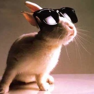 David Zajic - Myspace Profile Picture of David Zajic (@444419925) on Myspace