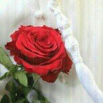 Profile Picture of الرداء الأبيض (@rida_oman) on Instagram