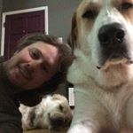 Profile Picture of James Campbell (@_james_campbell_guitar) on Instagram