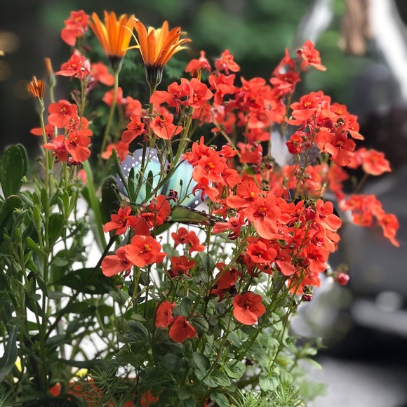 Profile Picture of Mikayla Carson (@mikaylacarson09) on Poshmark