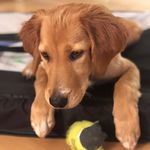 Profile Picture of Henry Allen Ash (@henryallenash) on Instagram