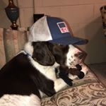 Profile Picture of Adam (@adumb_balls) on Instagram