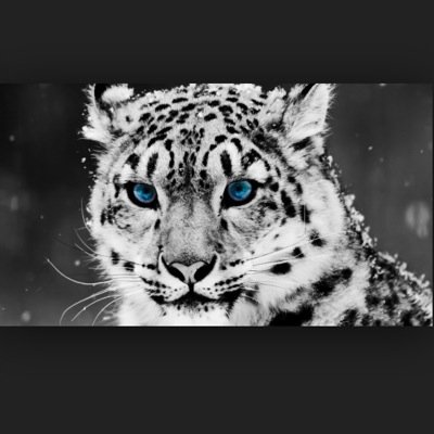 Profile Picture of Jessie Sheehan (@LisaOconnell77) on Twitter