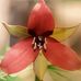 Profile Picture of Nancy Rathburn (@nancy.rathburn.562) on Facebook