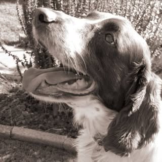 Profile Picture of Dawn Shakespeare (@dawnshakespeare) on Instagram