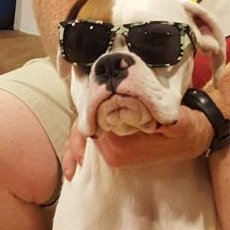 Profile Picture of Greg Willey (@gwwilley) on Twitter