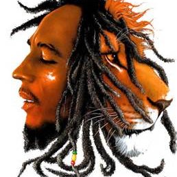 Steven Staton - Twitter Profile Picture of Steven Staton (@SCoachChampions) on Twitter