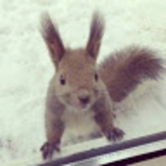 Profile Picture of Hye Lee (@hkmilk0605) on Poshmark