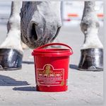 Profile Picture of Kevin Bacon’s Equine (@kevinbaconsequineuk) on Instagram