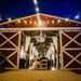 Profile Picture of Red Gate Farms (@redgatefarms) on Pinterest