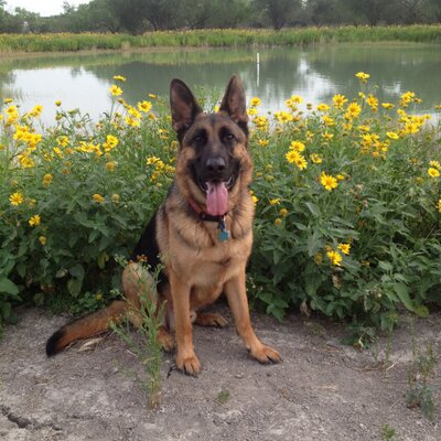 Profile Picture of Joe Averill Jr (@AverillJr) on Twitter