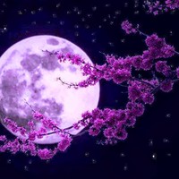 Profile Picture of Julia Brooks (@julia-brooks-1) on Quora