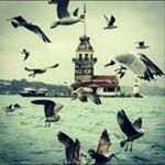Profile Picture of Aytən Adamova (@ayten_adamova) on Instagram