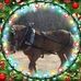 Profile Picture of Pauline Cloutier (@pauline.cloutier.96) on Facebook