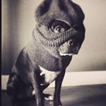 Profile Picture of Brian Nielsen (@@brianthefireman) on Instagram
