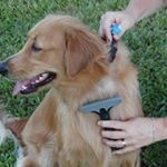 Profile Picture of Q James (@qpasser) on Instagram