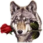 Profile Picture of Ricardo Cdmbray (@ricardo.cdmbray) on Facebook