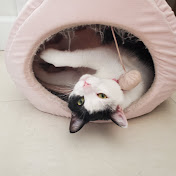 Profile Picture of David Guiney (@davidguiney1746) on Youtube