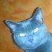 Profile Picture of Frank Interrante (@frank.interrante.9) on Facebook