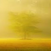 Profile Picture of Brian Harrell (@brianharrell5982) on Youtube