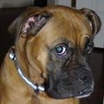 Profile Picture of Sari Jill Schneider (@sarijill9) on Instagram