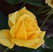 Profile Picture of Julia Lantos (@julia.lantos.589) on Facebook