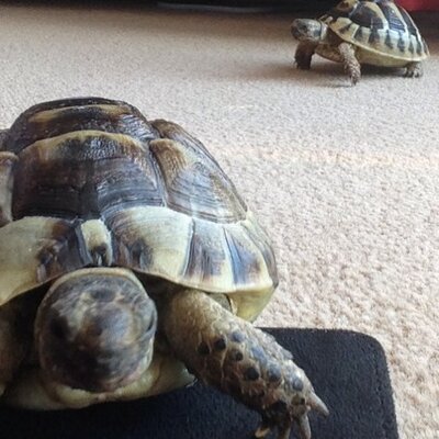 Profile Picture of Grant Pugh (@gap2105) on Twitter