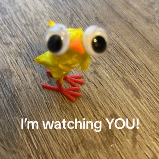 Profile Picture of Chuck (@squudge) on Tiktok