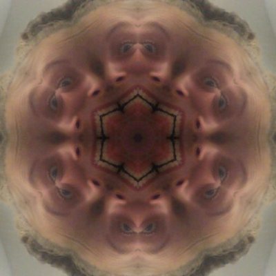 Profile Picture of Logan Reichert (@Lillrippa_44) on Twitter