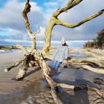 Profile Picture of Daniela Brandt (@darssfotos_d.brandt) on Instagram