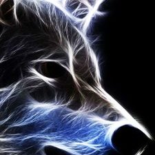 Profile Picture of Craig White Wolf (@CraigWhitewolf1) on Twitter