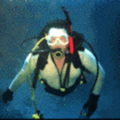 Profile Picture of Ken Davison (@KenDavisonWales) on Twitter