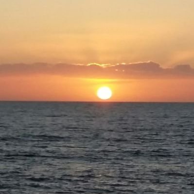 Profile Picture of Mark Davidge (@davidge_mark) on Twitter