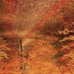 Profile Picture of Longmire (@ynb95502samsh) on Instagram