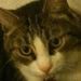 Profile Picture of Cindy Swink (@alohacswink) on Pinterest