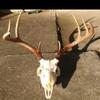 Profile Picture of Tyler Greer (@@tylergreer89) on Tiktok