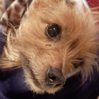 Daisy Richards - Quora Profile Picture of Daisy Richards (@daisy-richards-11) on Quora