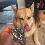 JVGI & Reginald Wilkerson - Instagram Profile Picture of JVGI & Reginald Wilkerson (@reggiethewatchdog) on Instagram