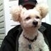 Profile Picture of Phyllis Gaudet (@snuggles.gaudet) on Facebook