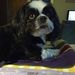 Profile Picture of Carla Mcmahan (@carlam3454) on Pinterest
