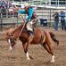 Profile Picture of Kody Cavender (@kody.cavender.9) on Facebook