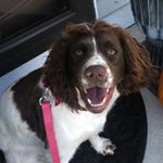 Ellie Mae Freeman - Instagram Profile Picture of Ellie Mae Freeman (@elliemaefree1) on Instagram