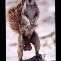 Profile Picture of Matt Goddard (@matt.goddard.37266) on Facebook